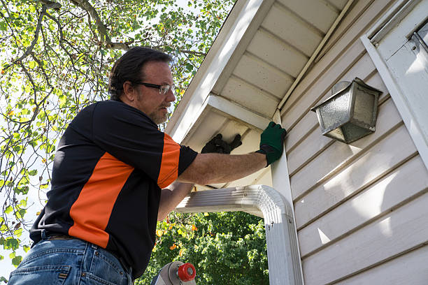 Best Stone Veneer Siding  in Blaine, TN